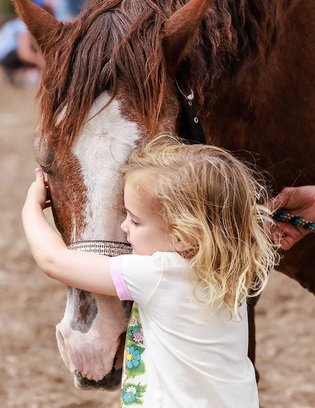 A visitor petting a rescue horse at a Hug & Groom event